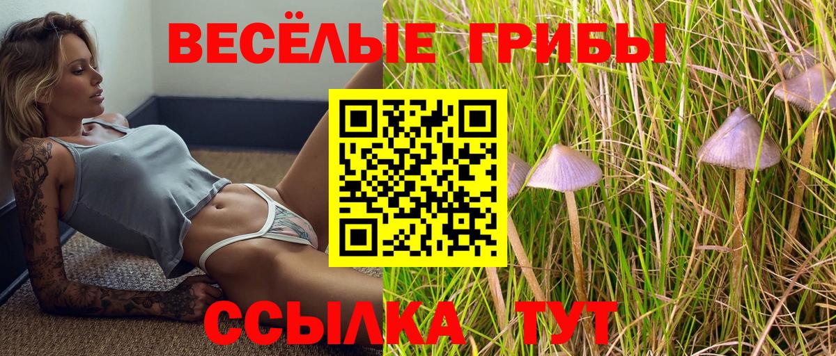 Миллерово  Галлюциногенные грибы ЛСД  Вход с VPN  Псилоцибиновые грибы Magic Shrooms 
